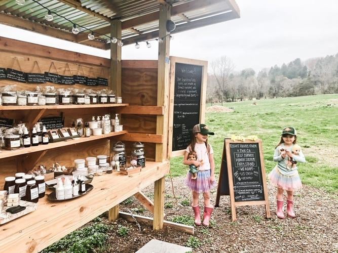 Bees and everyone else are busy at Eight Hands&nbsp;Farm